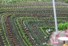 Seymour VICpermaculture-5.jpg; ?>
